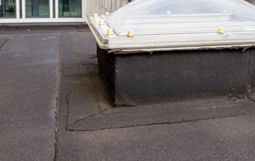 disadvantages of Douglastown flat roofs